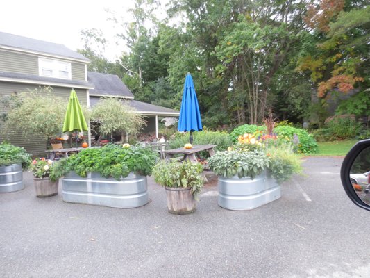 Dot’s Market by null