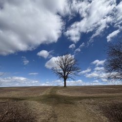 Happy Landings Open Space - Happy Landings such a beautiful place