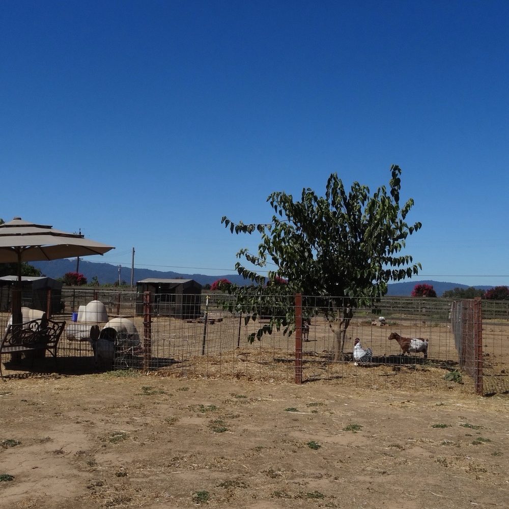 Back-to-Eden Ranch - Just an area of the farm for reference - Attraction Farms Near Me - Gilroy, California Back-to-Eden Ranch - Just an area of the farm for reference - Attraction Farms Near Me - Gilroy, California