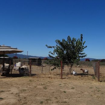 Back-to-Eden Ranch - Just an area of the farm for reference - Attraction Farms Near Me - Gilroy, California