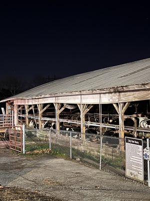 Wright's Dairy Farm and Bakery by null