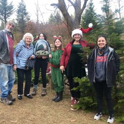 Wickes Frank - The special tree
