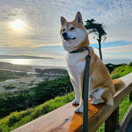 Oso is ready for vacation! Oso is ready for vacation!