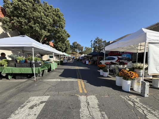 Toluca Lake Farmers Market by null
