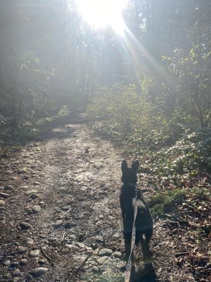 Powell Butte Nature Park by null