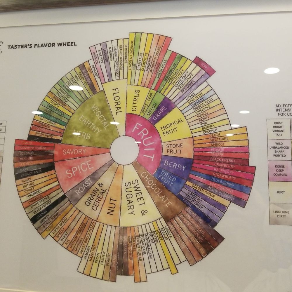 Taste  flavor wheel! Luv this place!