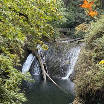 Silver Falls State Park - Hiking Near Me - Sublimity, Oregon