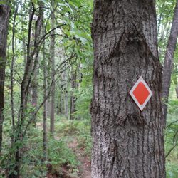 Dwaas Kill Nature Preserve
