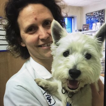 Nease Animal Hospital - Veterinarians Near Me - St. Augustine, Florida