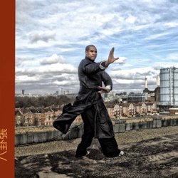Jeffrey Alexander School of Martial Arts - Feeling on Top of The World.