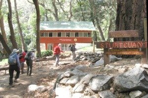 Sturtevant Camp by null