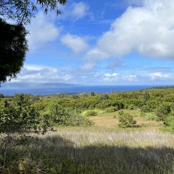 Ironwood Ranch - Ocean view - Horseback Riding Near Me - Lahaina, Hawaii