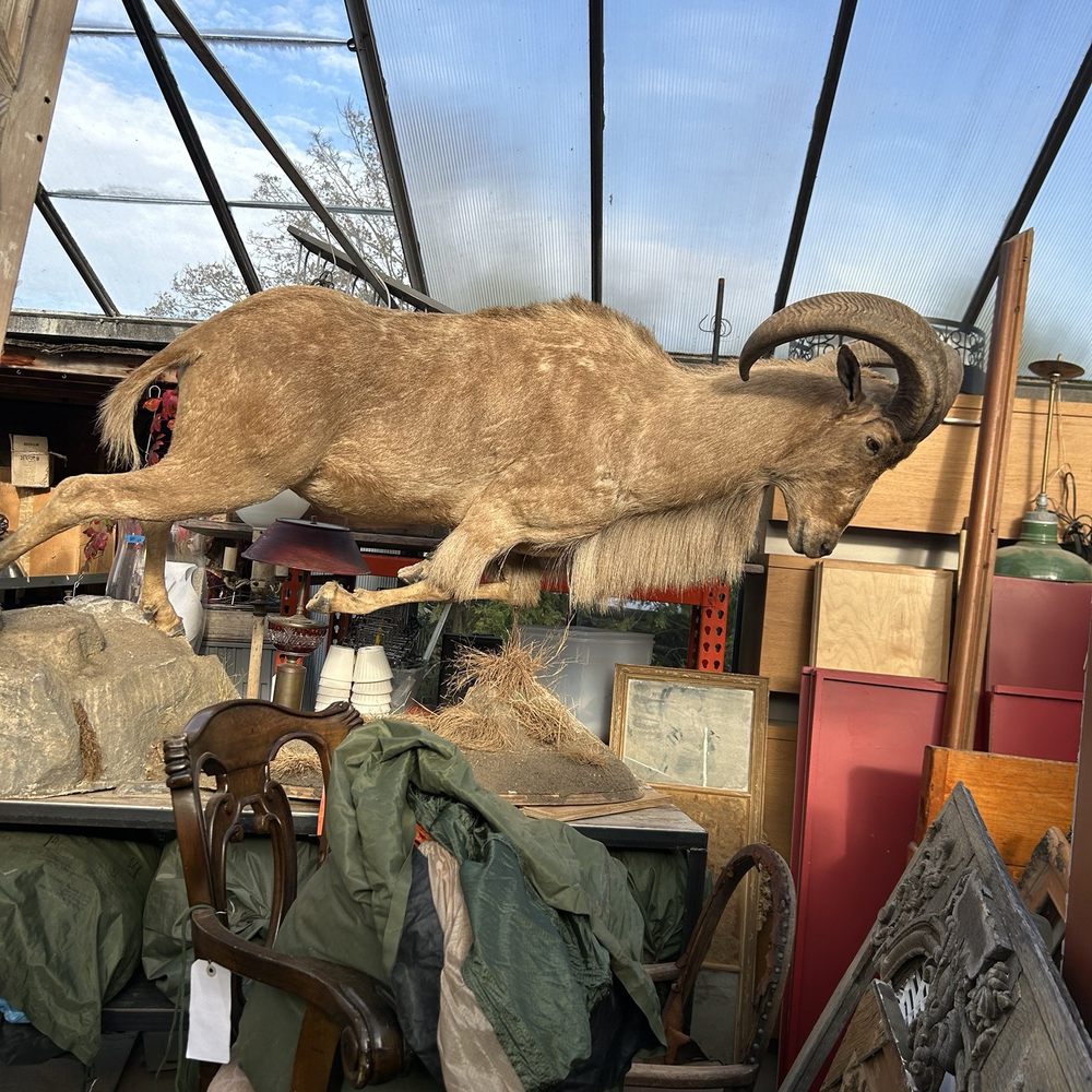 Lumber + Salt - Antiques Near Me - Riverhead, New York Lumber + Salt - Antiques Near Me - Riverhead, New York