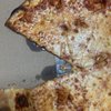 Sharky's Pizza gift card