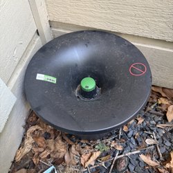 Alli Pest Control - Expert monthly mosquito control with In2Care buckets.