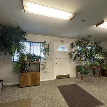 B Street Chiropractic Center - Lobby plants - Chiropractors Near Me - Sparks, Nevada B Street Chiropractic Center - Lobby plants - Chiropractors Near Me - Sparks, Nevada
