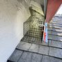 Photo of Permanent solutions Rodent proofing