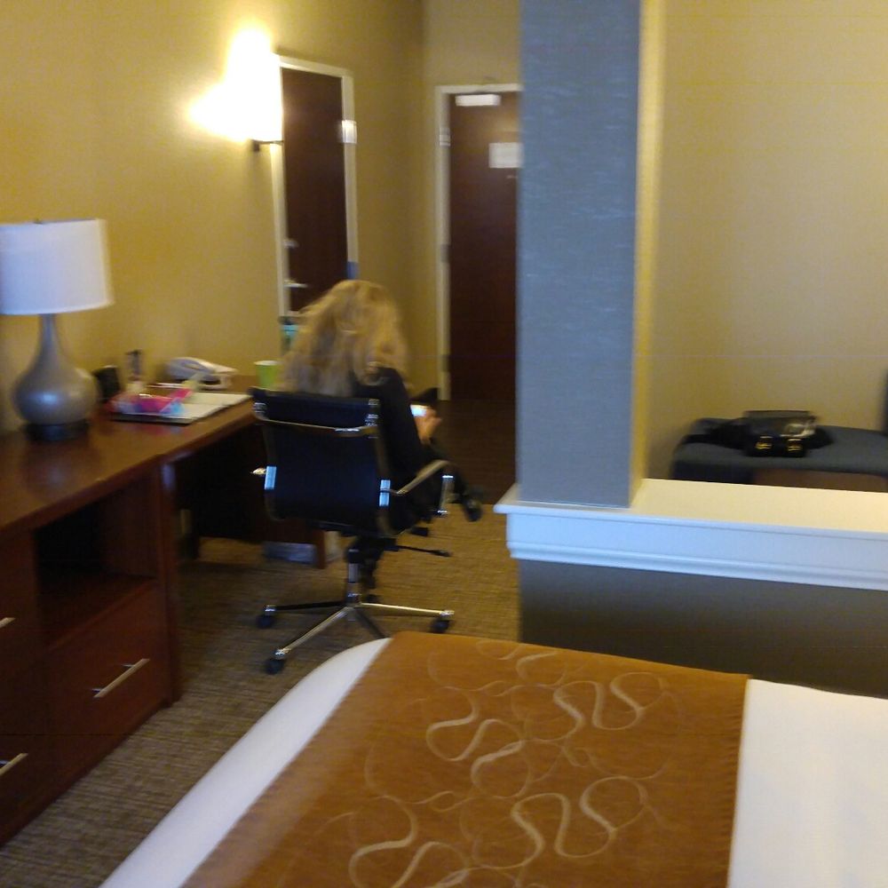 Comfort Suites - Nice seating area and TV. - Hotels Near Me - Rensselaer, Indiana