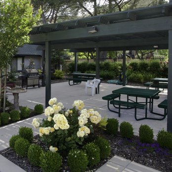 The Trees Apartments - BBQ Area - Apartments Near Me - Davis, California The Trees Apartments - BBQ Area - Apartments Near Me - Davis, California