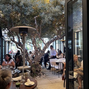 Ysabel - New American Near Me - West Hollywood, California