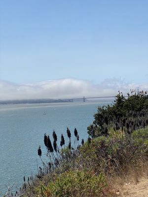 Angel Island by null