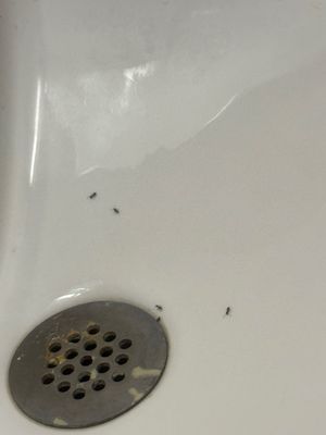 Salem Health & Rehabilitation Center