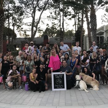 OC Dog Party - Let OC DOG PARTY throw your dog a BIRTHDAY PARTY ! check out ocdogparty.com - Pet Services Near Me OC Dog Party - Let OC DOG PARTY throw your dog a BIRTHDAY PARTY ! check out ocdogparty.com - Pet Services Near Me