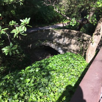 Codornices Park - Parks Near Me - Berkeley, California