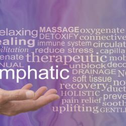 HAKU Wellness - Balanced Lymphatic System is Vital for optimal health and wellBEing