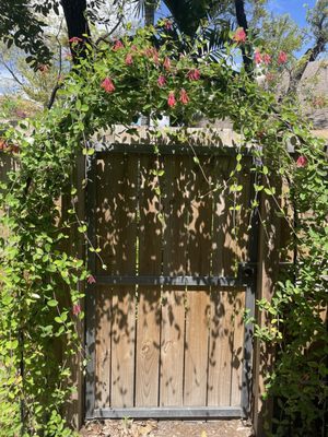 Little River Cooperative by null