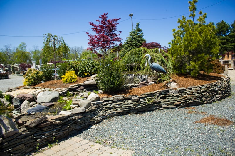 Northeast Nursery Garden Center 26 Reviews Nurseries Northeast Nursery Garden Center 26