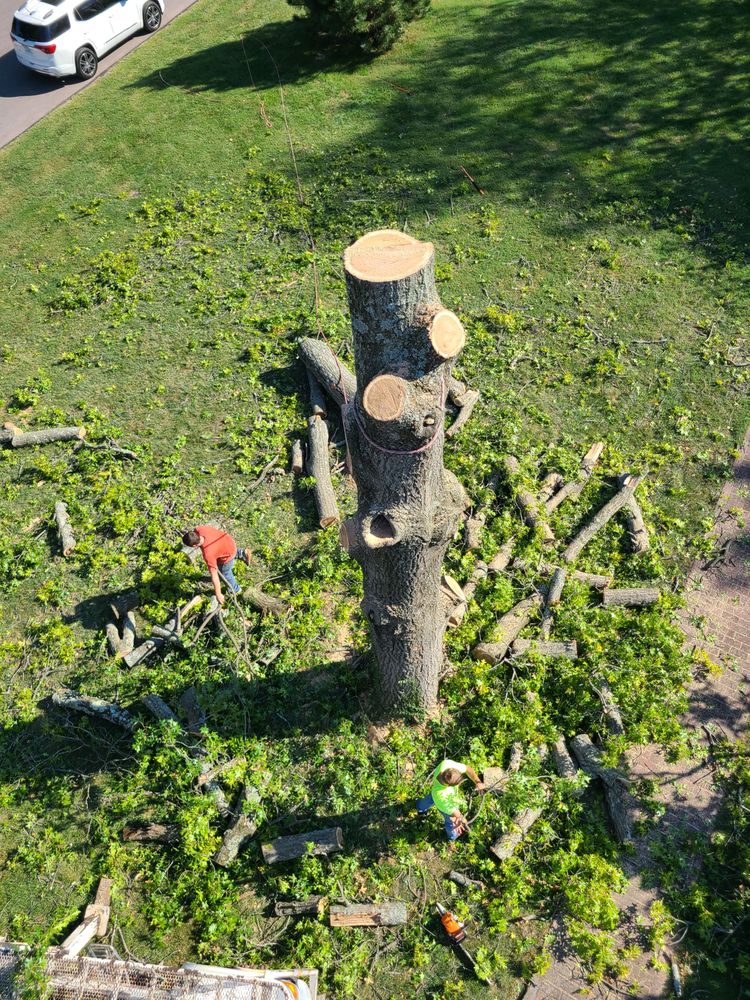 Smashey & Sons Tree Service - tree service in Maryland Heights, MO