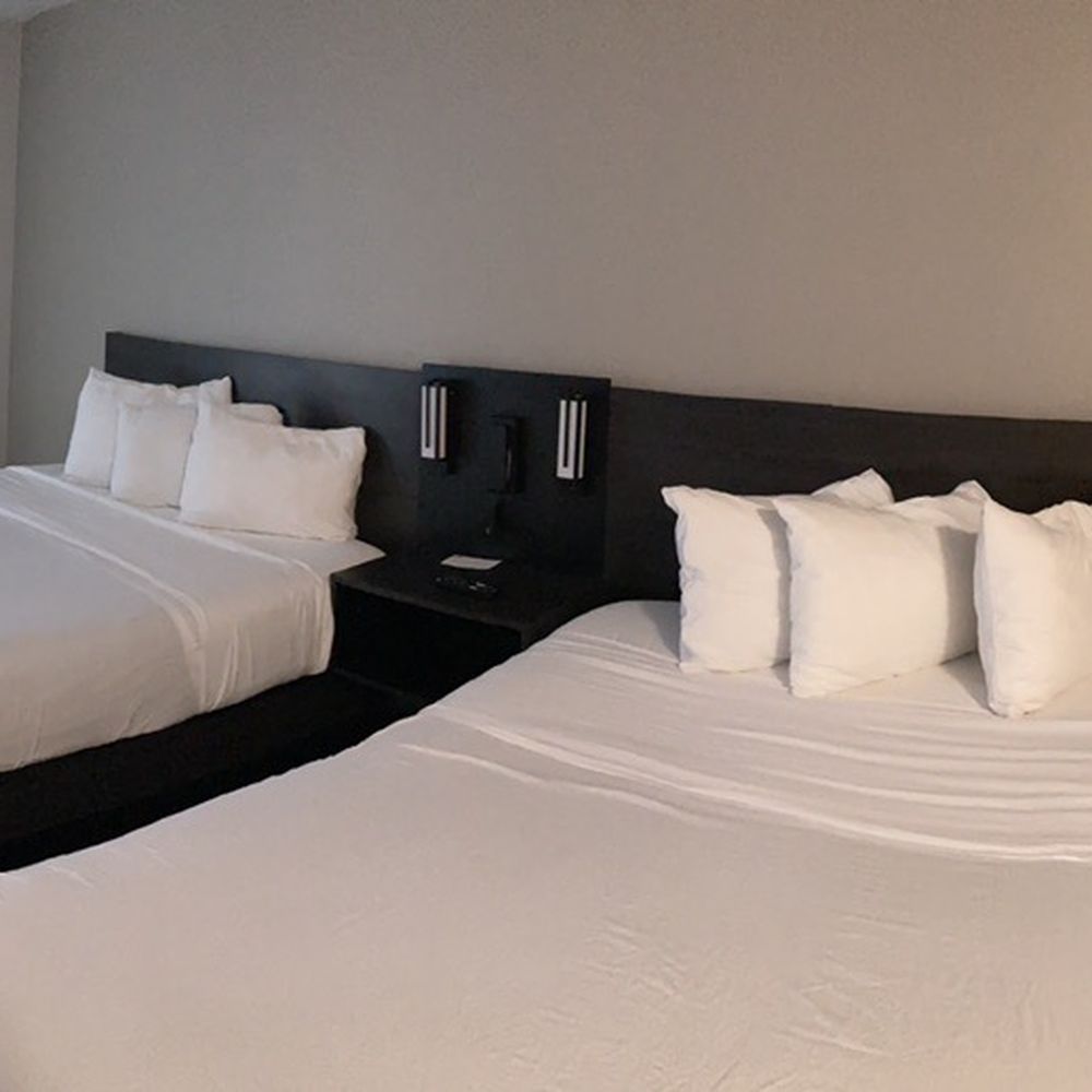 THE BEST 10 Hotels near 1642 N LAS PALMAS AVE, LOS ANGELES, CA - Last  Updated April 2024 - Yelp