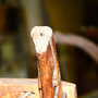 Photo of Sam & Mary's Woodworks