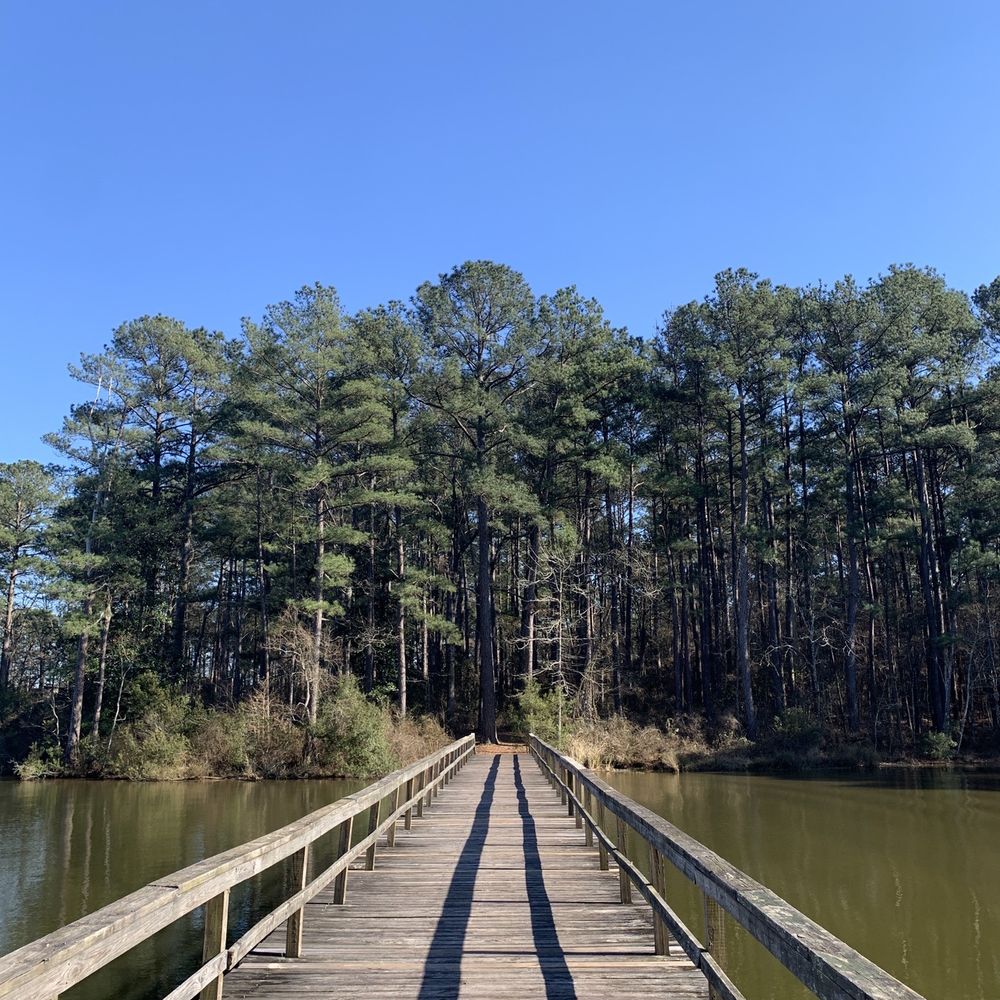 Lake Lincoln State Park - A bridge that connects the new campground to the other side of the park. - Parks Near Me - Wesson, Mississippi Lake Lincoln State Park - A bridge that connects the new campground to the other side of the park. - Parks Near Me - Wesson, Mississippi