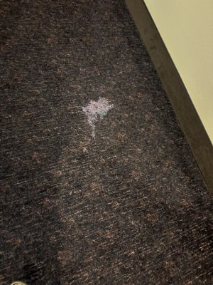 Kalahari Resorts & Conventions - Wisconsin Dells by null