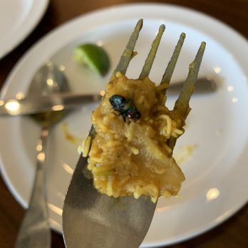 Ifra's Indian Kitchen - Indian Near Me - Pinecrest, Florida