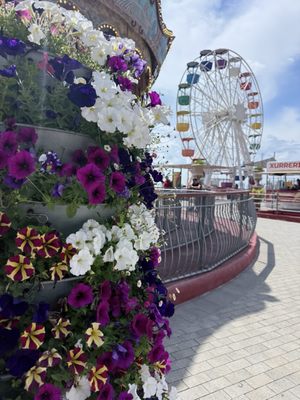Tibidabo Amusement Park by null
