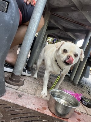 Finnegan's Way by null