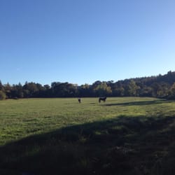 Sheridan Creek Outfitters - Close to Lassen Park riding beautiful horses surrounded by vineyards with dinner, wine and sunset!!