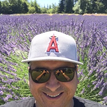 Columbia View Lavender Farm - Lavender farm - Farms Near Me - Corbett, Oregon