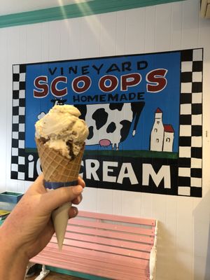 Vineyard Scoops by null