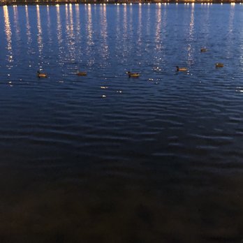 Lake Mirror Complex - Lakes Near Me - Lakeland, Florida Lake Mirror Complex - Lakes Near Me - Lakeland, Florida