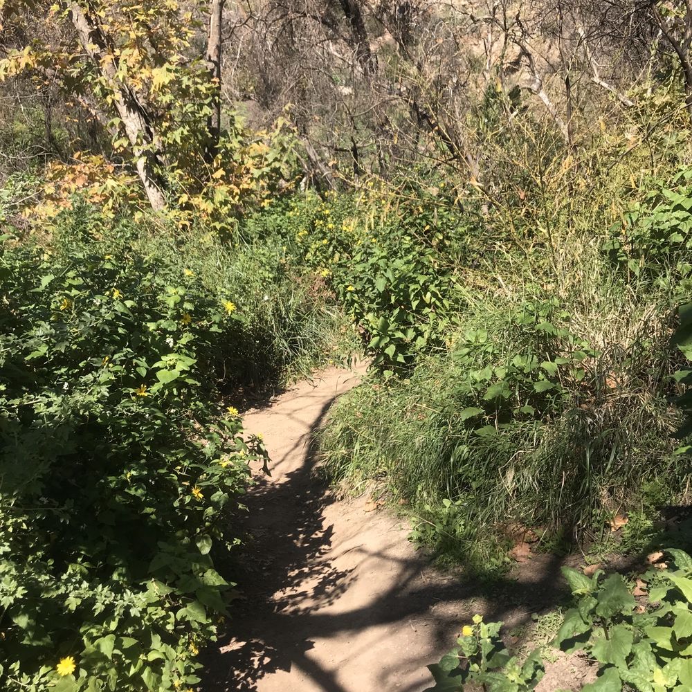 Escondido Canyon Park - Hiking Near Me - Malibu, California Escondido Canyon Park - Hiking Near Me - Malibu, California