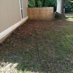 Lawn Love Lawn Care - Leaves on the side of my home that wasn't taken care of...