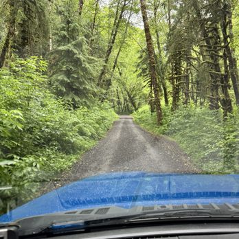Munson Creek Falls - Drive up to falls - Parks Near Me Munson Creek Falls - Drive up to falls - Parks Near Me