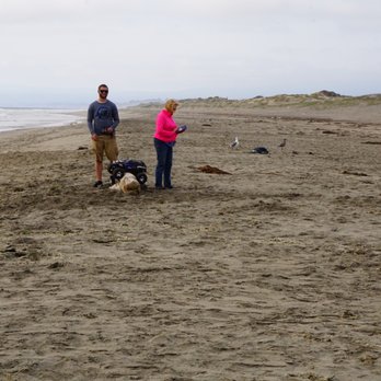 Moss Landing State Beach - Beaches Near Me Moss Landing State Beach - Beaches Near Me