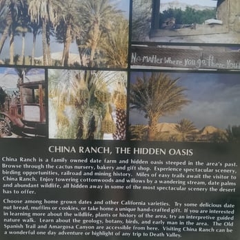 China Ranch Date Farm - Ranches Near Me - Tecopa, California