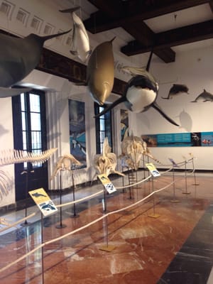 Casa de la Ciencia by null