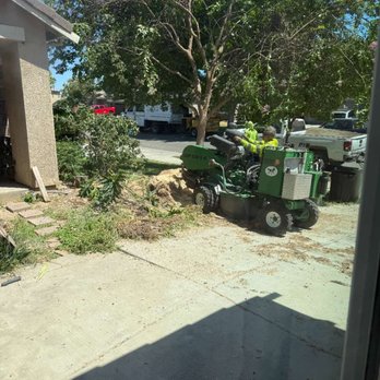 A & A Tree Service - Tree Services Near Me